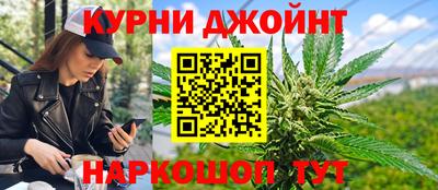 сатива Жуковский