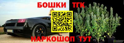 крисы Заводоуковск