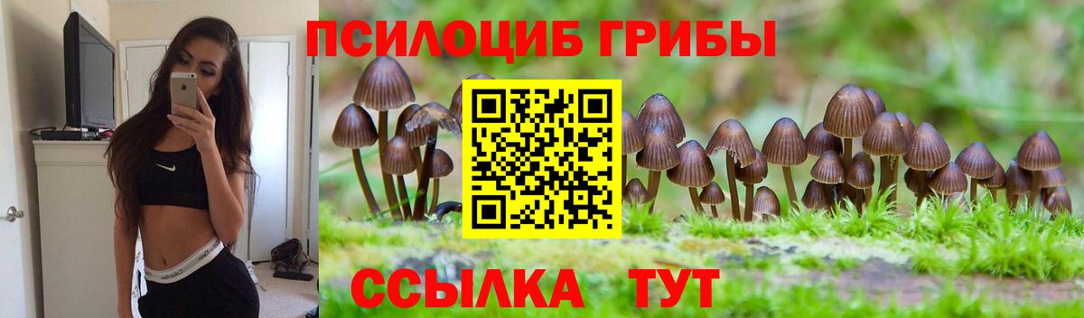 Галлюциногенные грибы GOLDEN TEACHER Черняховск