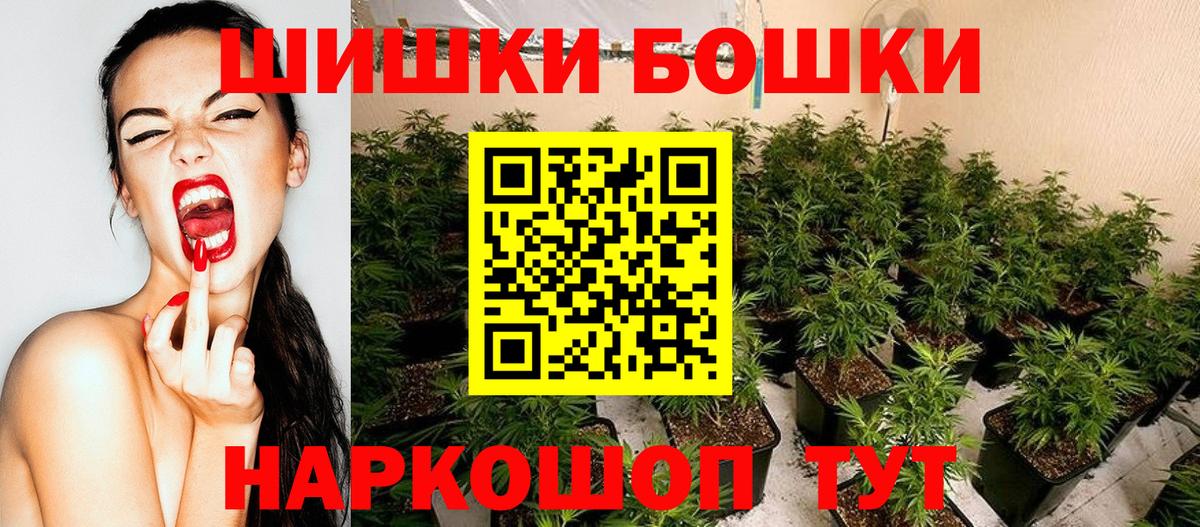 Каннабис сатива Черняховск